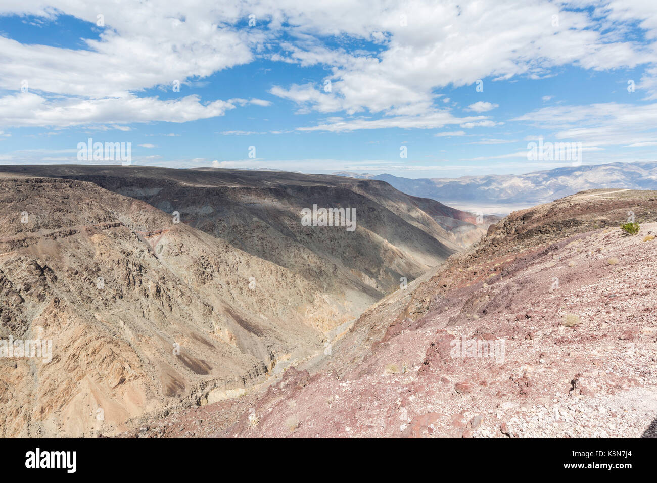 Paysage désertique avec des buissons. Death Valley National Park, comté d'Inyo, en Californie, USA. Banque D'Images