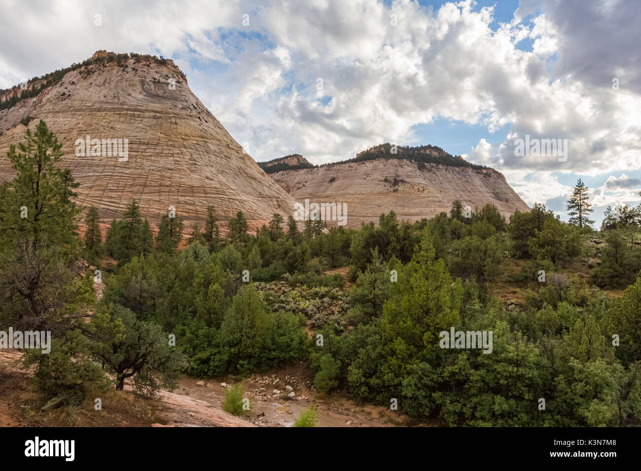 Paysage du Zion Canyon Scenic Drive. Zion National Park, ouragan, Washington County, Utah, USA. Banque D'Images