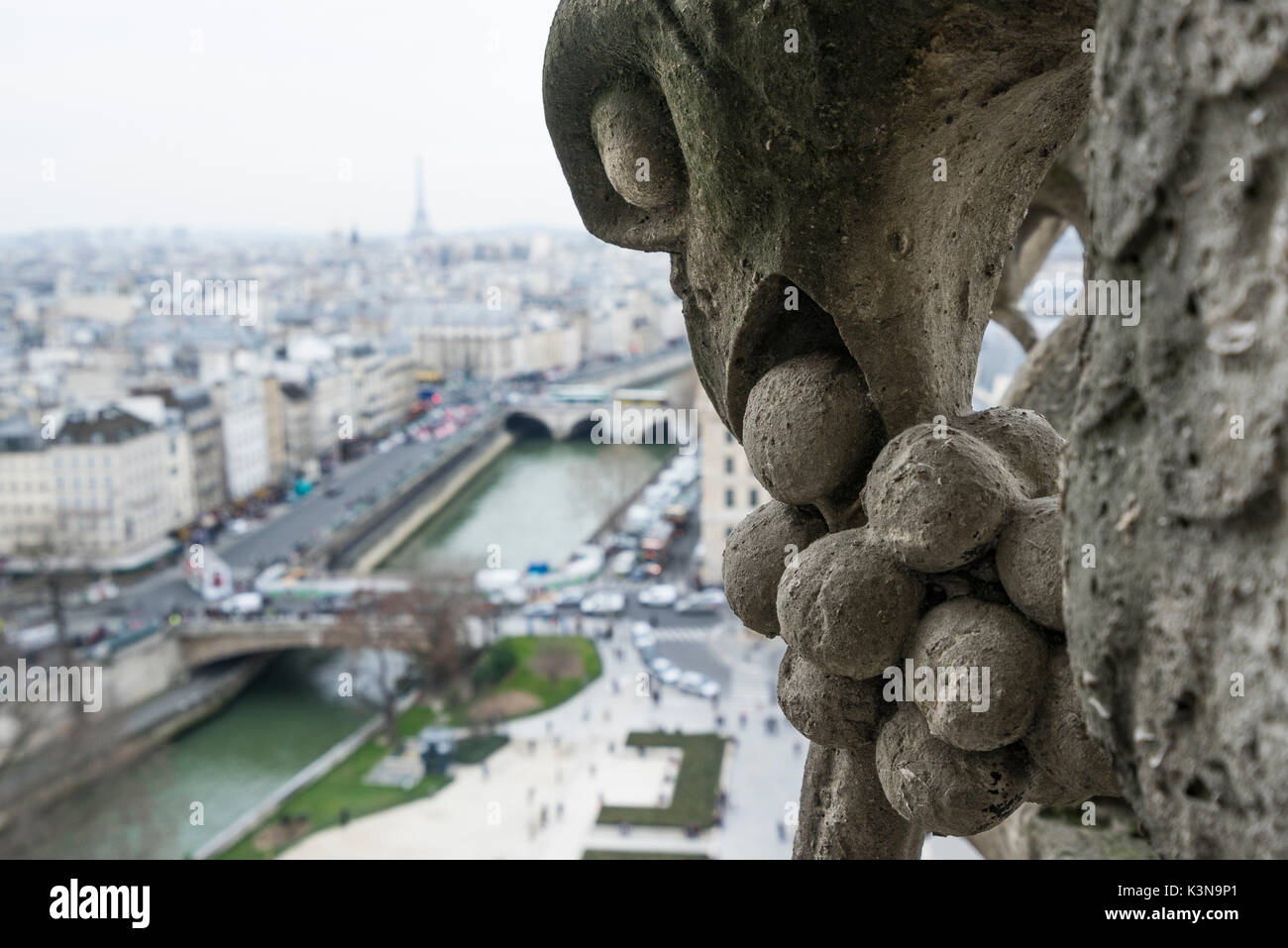 Close up sur une gargouille de Notre Dame de Paris, France Banque D'Images