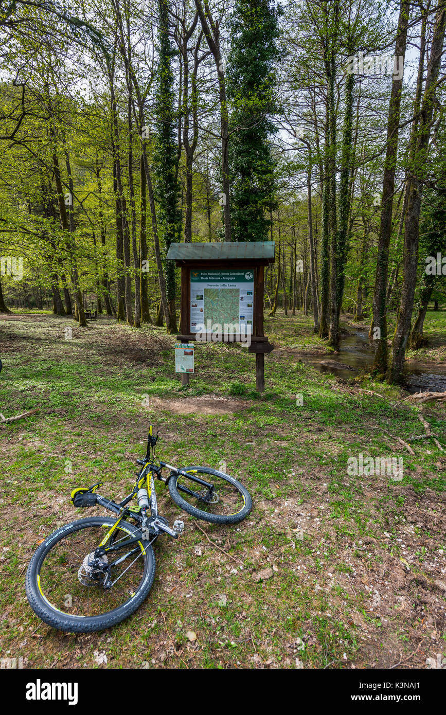 Vtt et le chemin d'pancarte, Lama, forêt Forêts Casentinesi NP, Emilie Romagne, Italie Banque D'Images