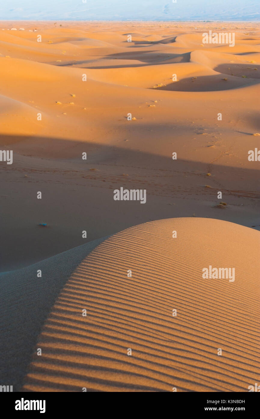 Erg Chigaga, désert du Sahara, le Maroc, l'Afrique du Nord. Dunes au lever du soleil. Banque D'Images