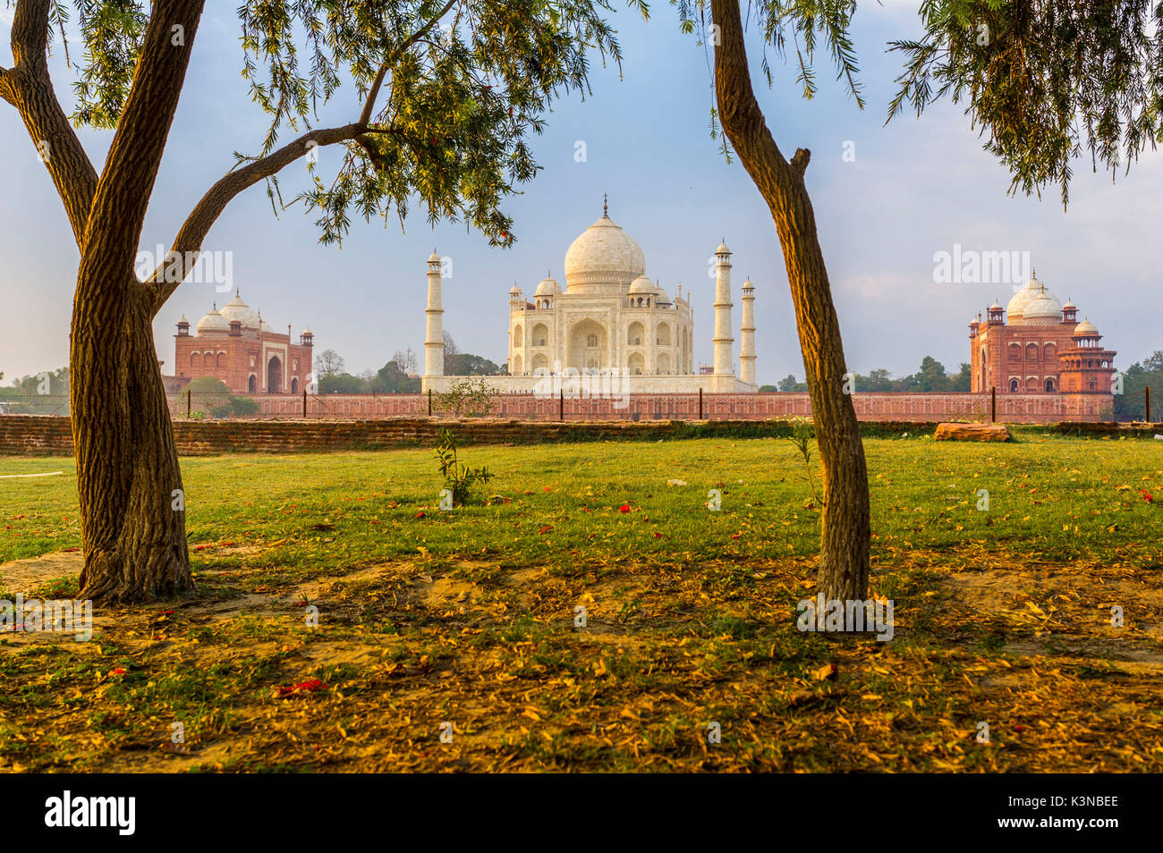 Taj Mahal, Agra, Uttar Pradesh, Inde, Asie. Banque D'Images