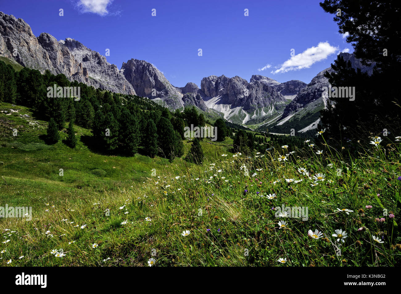 Montagnes Odles en été, Dolomites, Italie Banque D'Images