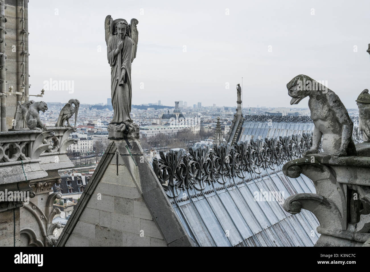 Gargouille sur la cathédrale Notre Dame, Paris, France Banque D'Images