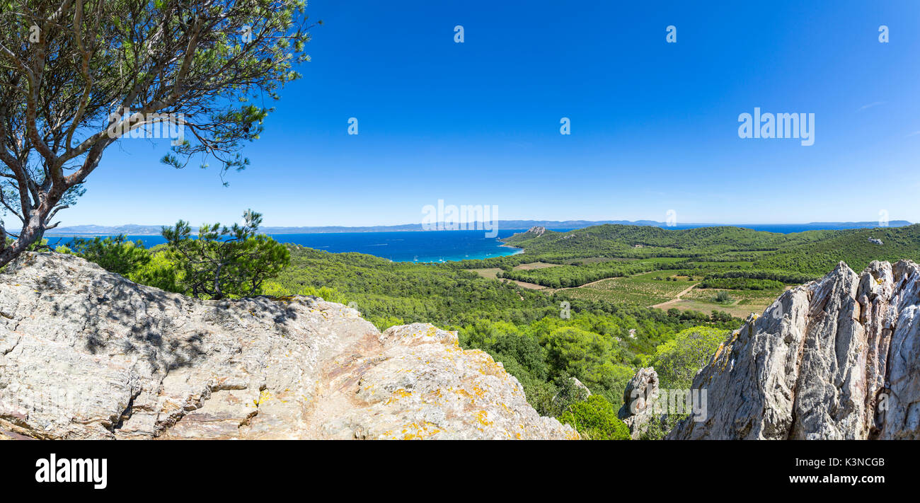 Vue panoramique depuis le haut de l'Ile de Porquerolles (Ile de Porquerolles, Hyères, Toulon, Var, Provence-Alpes-Cote d'Azur, France, Europe) Banque D'Images