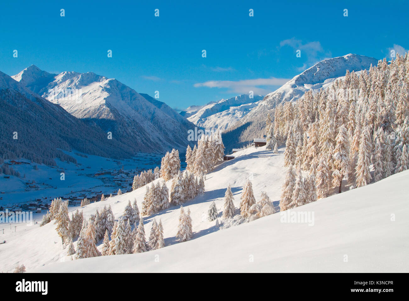 Paysage d'hiver blanc à Livigno. La Valtellina - Lombardie - Alpes italiennes Banque D'Images