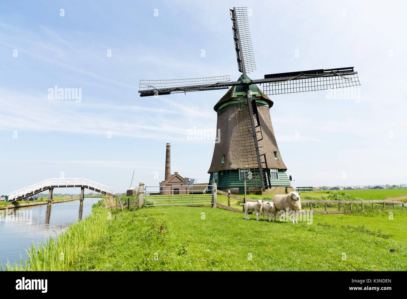 Moulin à vent hollandais sur les terres agricoles, Hollande, Pays-Bas Banque D'Images