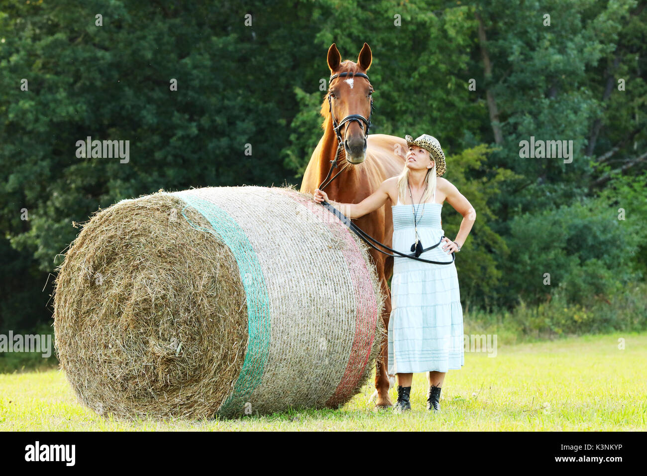 Femme avec son cheval rester près de Hay roll on meadow Banque D'Images