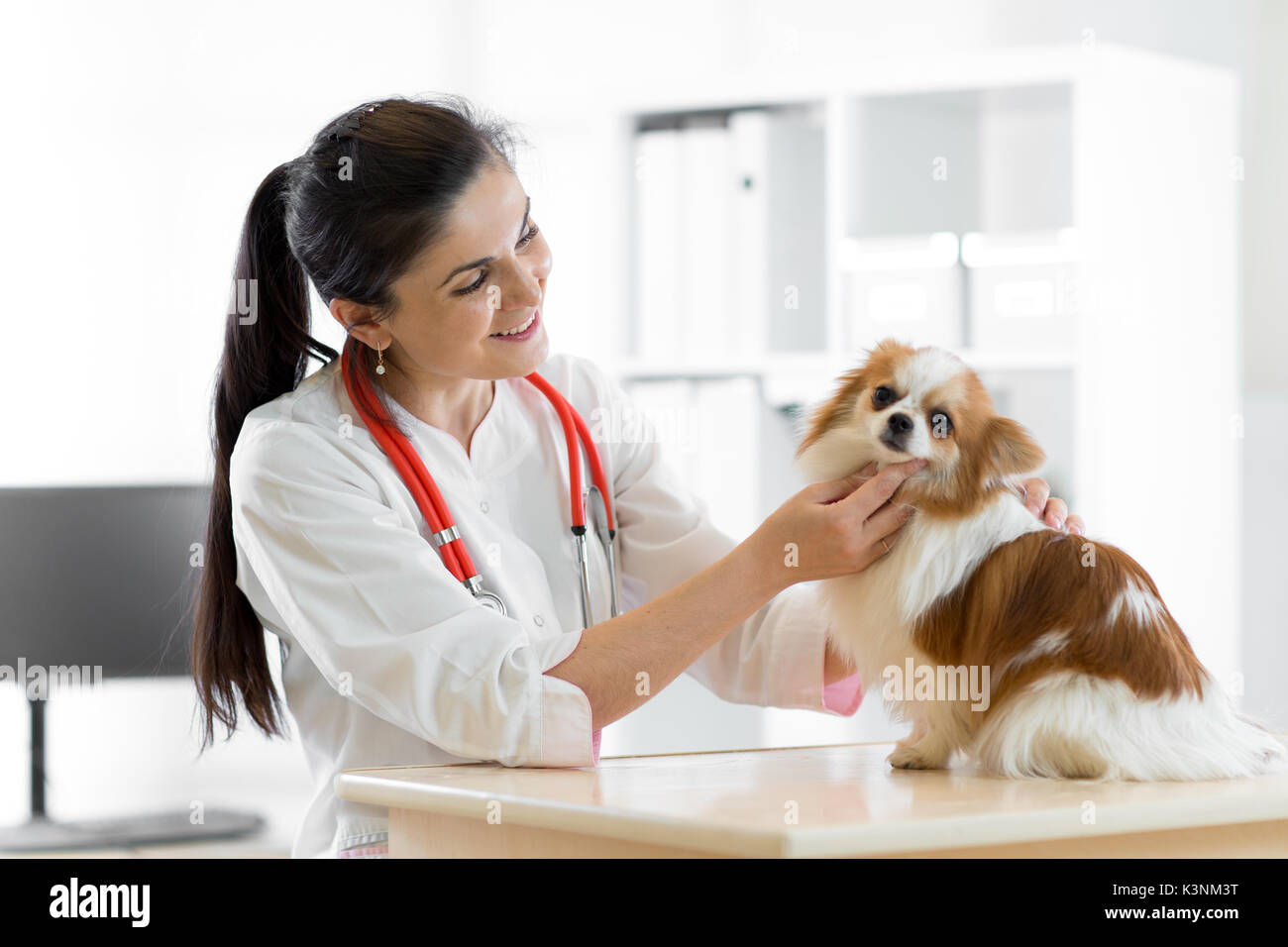 Vétérinaire avec chien souriant, sur table en clinique vétérinaire Banque D'Images