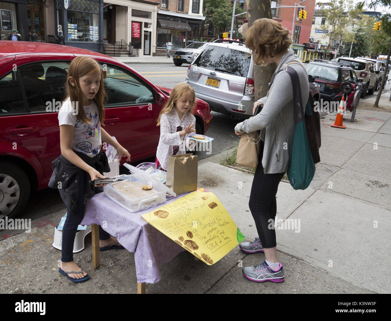 Brooklyn, Etats-Unis. 2 Septembre, 2017. Les filles des biscuits dans les parcs de pente pour recueillir des fonds pour les victimes de l'Ouragan Sandy de Banque D'Images