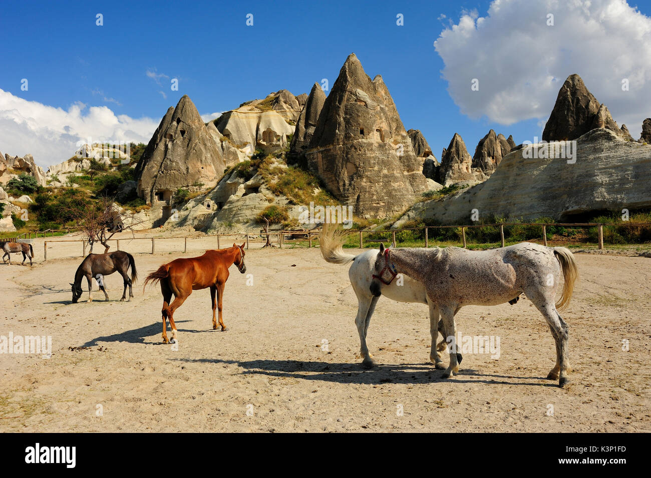 Paysage avec des cheminées de fées de Cappadoce et farm Banque D'Images