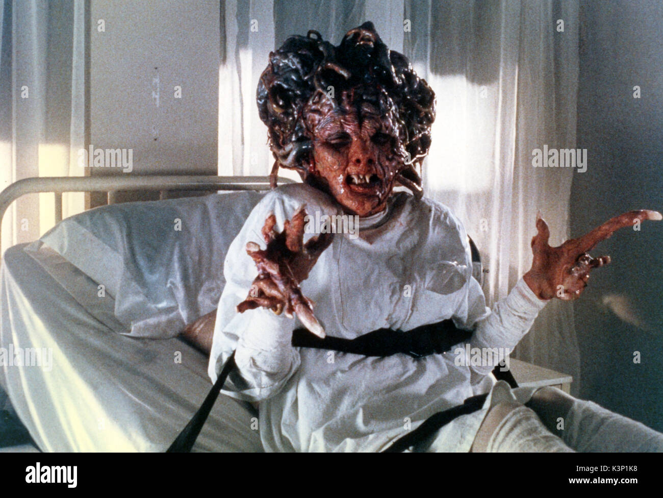 [1988] NOUS REJUVENATRIX alias REJUVENATOR [Br Titre du communiqué] VIVIAN LANKO Date : 1988 Banque D'Images