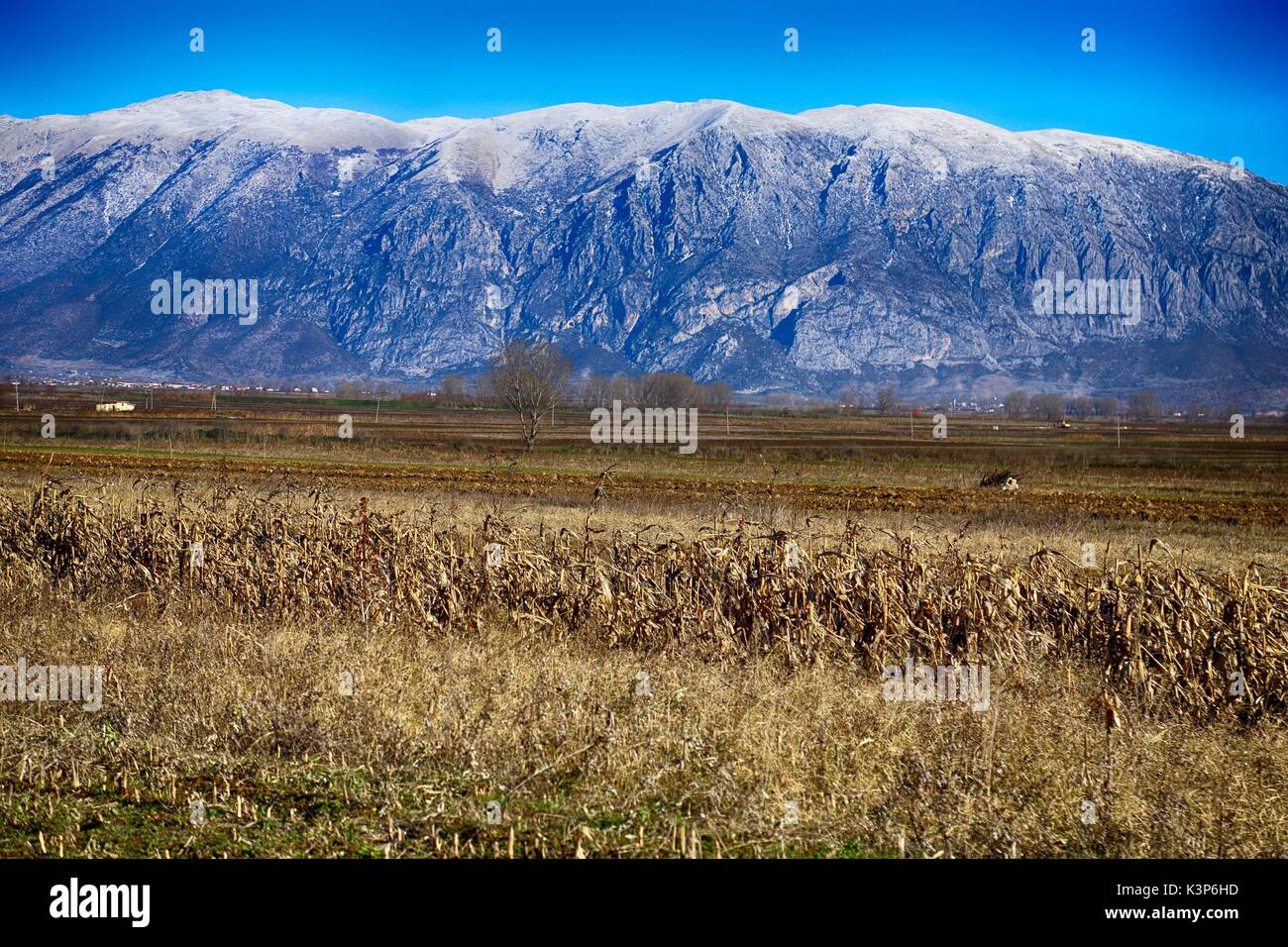Mali je thate Banque de photographies et d’images à haute résolution