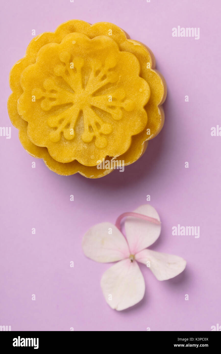 Belle mooncake sur fond coloré avec certains hydrangea. Banque D'Images