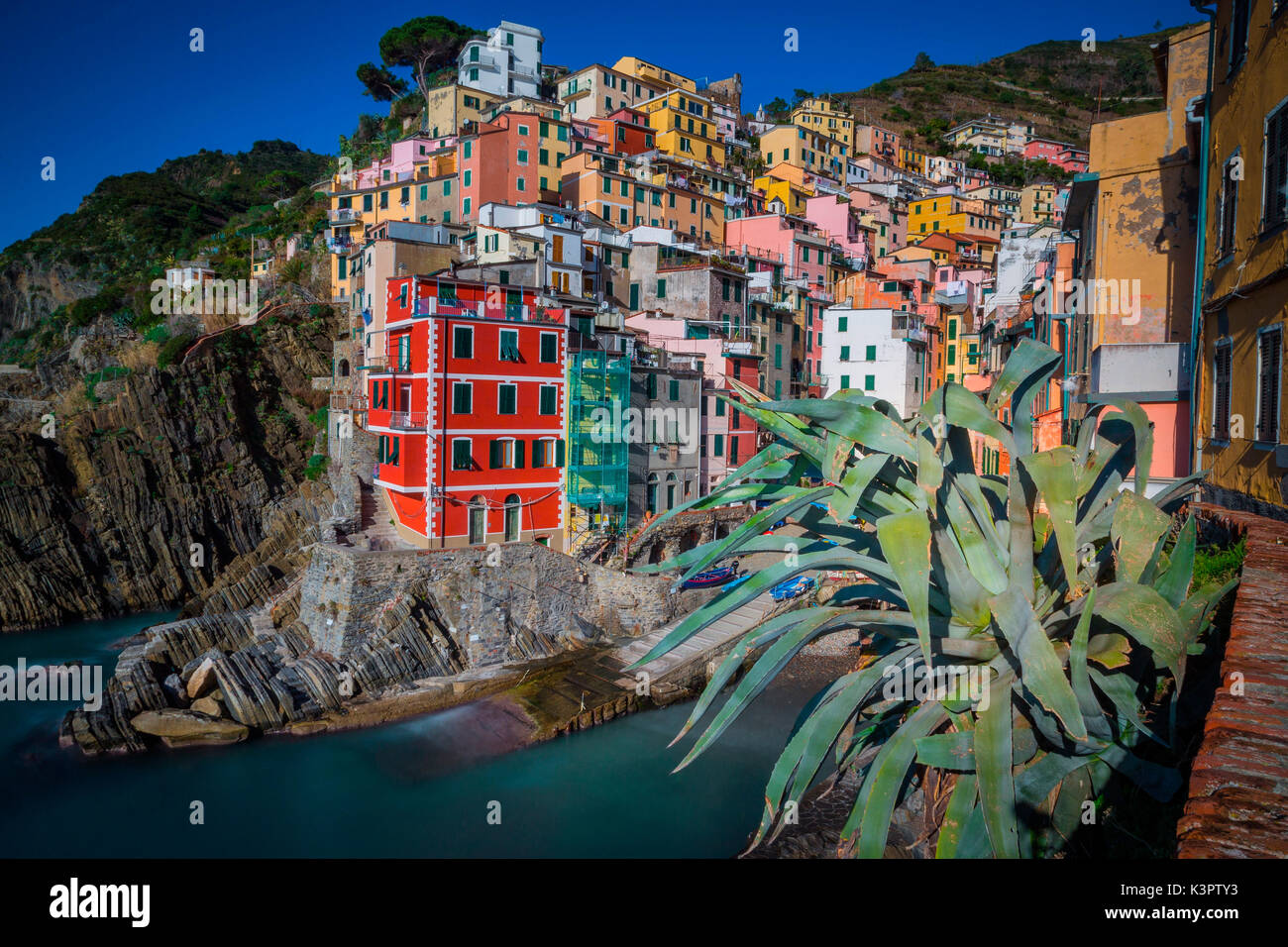 Riomaggiore, Ligurie, Italie. Vue du village sous le soleil, avec des arbres sur l'avant-plan. Banque D'Images