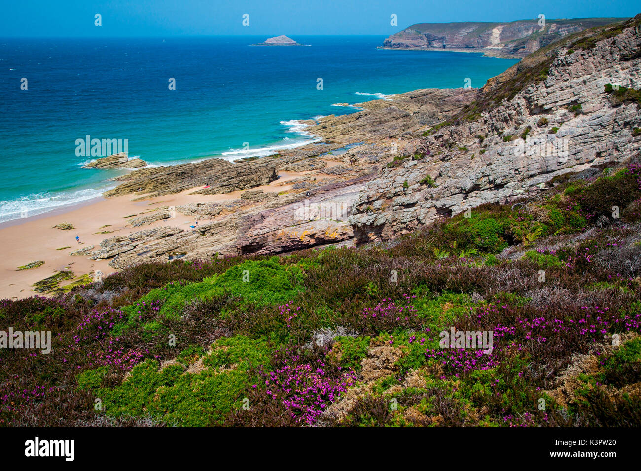 Bretagne, France. Champs de fleurs conduisent à la mer dans la côte de Bretagne. Banque D'Images