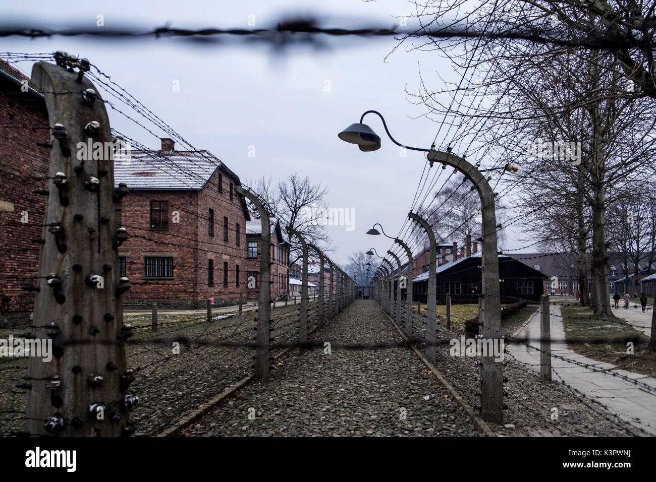 Auschwitz, Birkenau, Oswiecim, Pologne, Brzezinka, au nord-est de l'Europe. Clôture électrique dans l'ancien camp de concentration Nazi. Banque D'Images