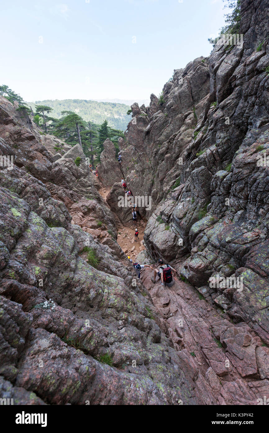 Les randonneurs procéder dans le canyon rocheux Col de Bavella (Col de Bavella) Solenzara Corse-du-Sud France Europe Banque D'Images