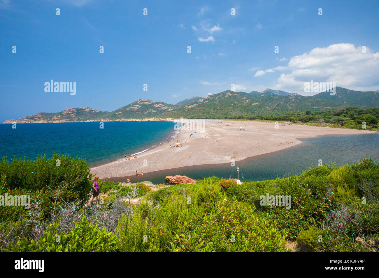 La mer turquoise et la plage encadrée par de la végétation verte en été Porto Corse-du-Sud France Europe Banque D'Images