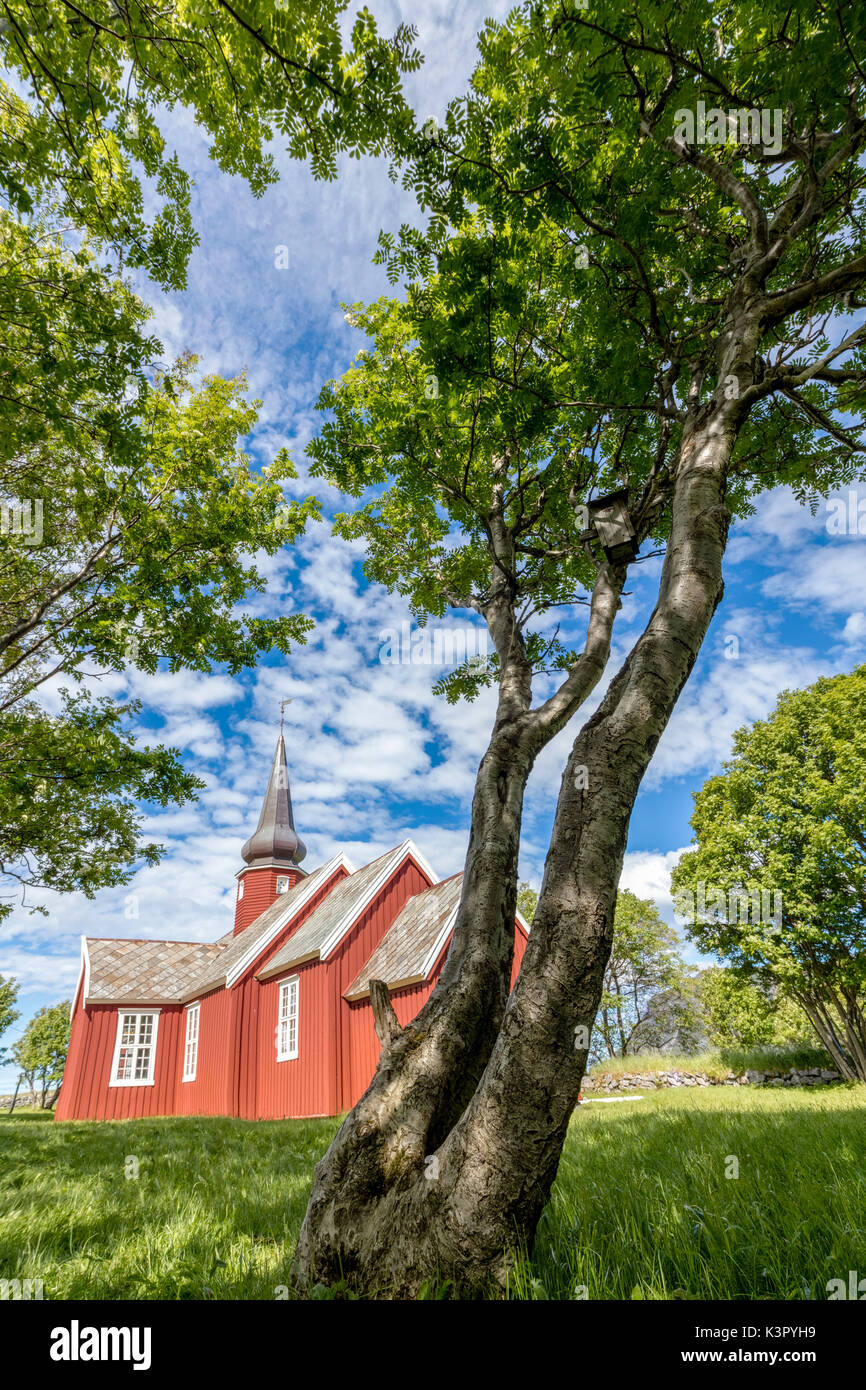 Les troncs d'arbres et de prés verdoyants encadrent l'église en bois typique des îles Lofoten en Norvège Europe Flakstad Banque D'Images