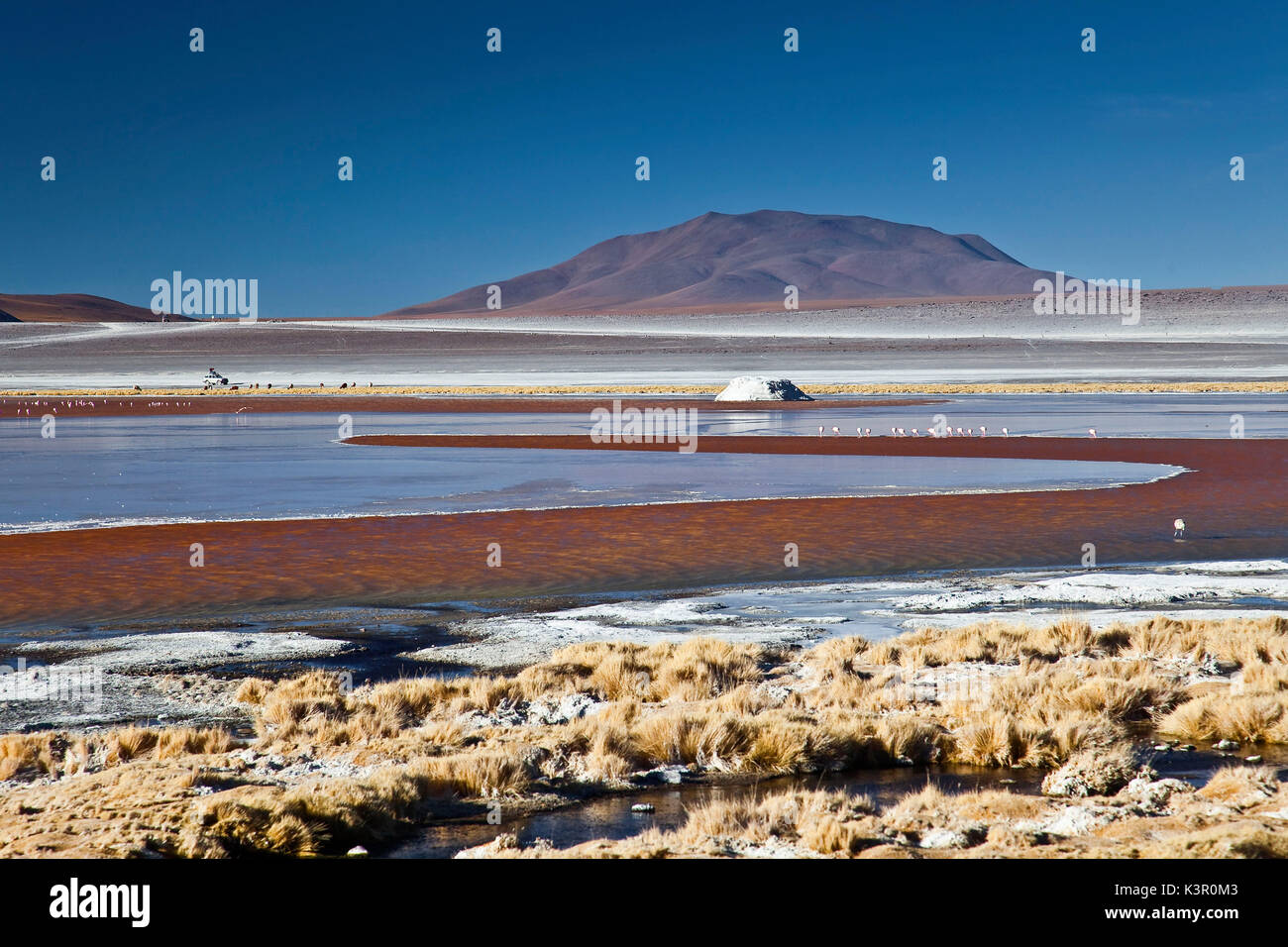 La Laguna Colorada contient du borax, dont la couleur blanche contraste avec la couleur rougeâtre de ses eaux, qui est causée par les sédiments et la pigmentation rouge de certaines algues - Bolivie Amérique du Sud Banque D'Images