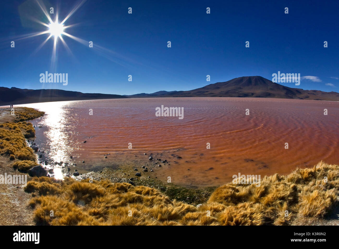 Les eaux rouges de la Laguna Colorada et un volcan de la Cordillère des Andes en Amérique du Sud Bolivie Banque D'Images