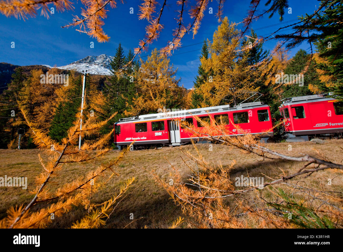 Le Bernina Express dans le paysage d'automne du Val Poschiavo, Suisse Europe Banque D'Images