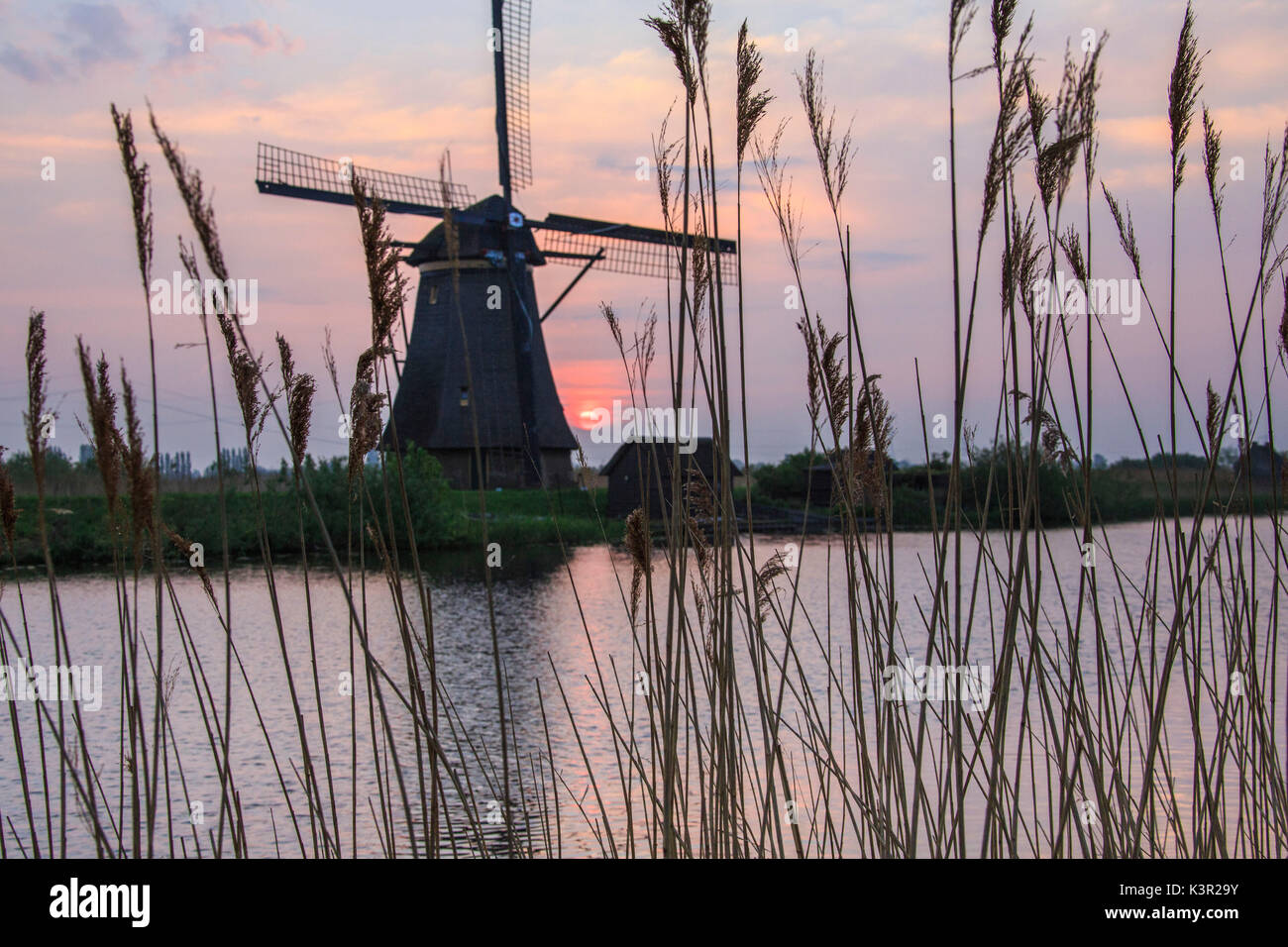 Épis de maïs du moulin bâti reflète dans le canal à l'aube Kinderdijk Rotterdam Pays-Bas Hollande du Sud Europe Banque D'Images