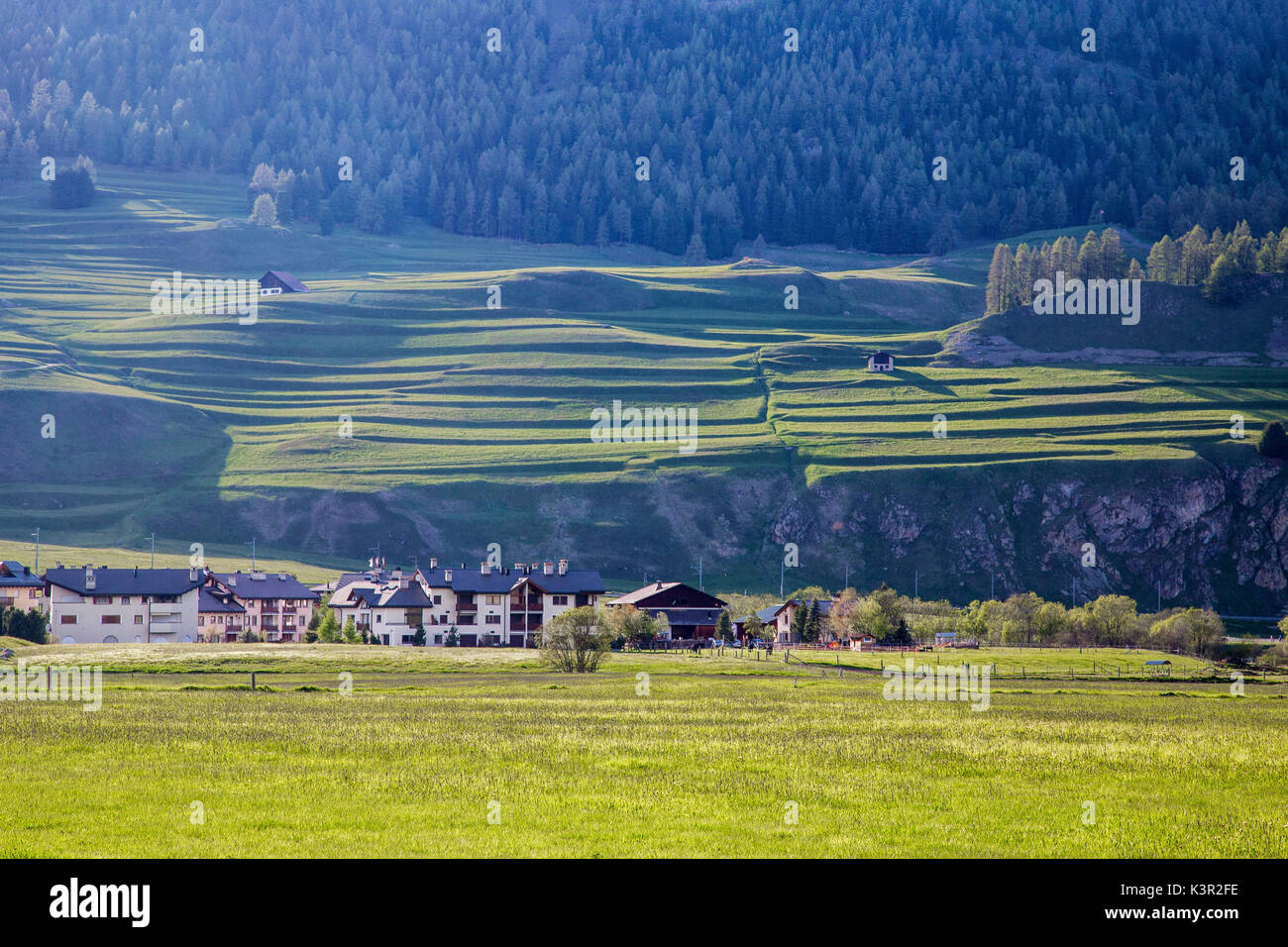 Cadre vert des prairies et des bois le village de Silvaplana Canton des Grisons Maloja Engadine Suisse Europe Banque D'Images
