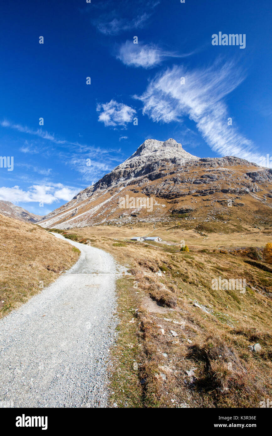 Un chemin à travers l'Engadine Vallée Fain Canton des Grisons Suisse Europe Banque D'Images