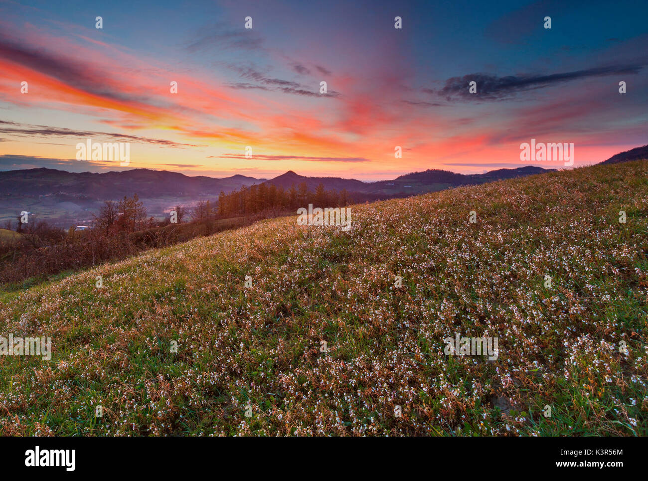 La Lombardie, Italie. Un printemps coucher de soleil sur les collines de l'Oltrepò Pavese. Banque D'Images