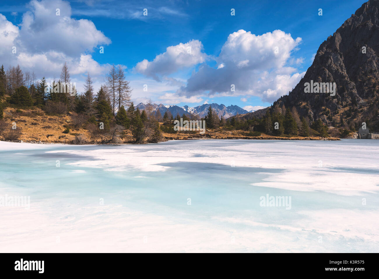 Aviolo dans le lac du parc de l'Adamello, province de Brescia, Lombardie, Italie, district de l'Europe. Banque D'Images