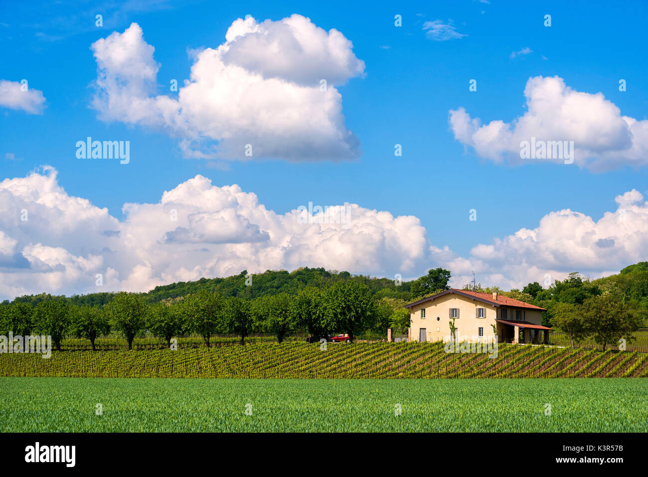La Franciacorta, province de Brescia, Lombardie district,Italie, Europe. Banque D'Images