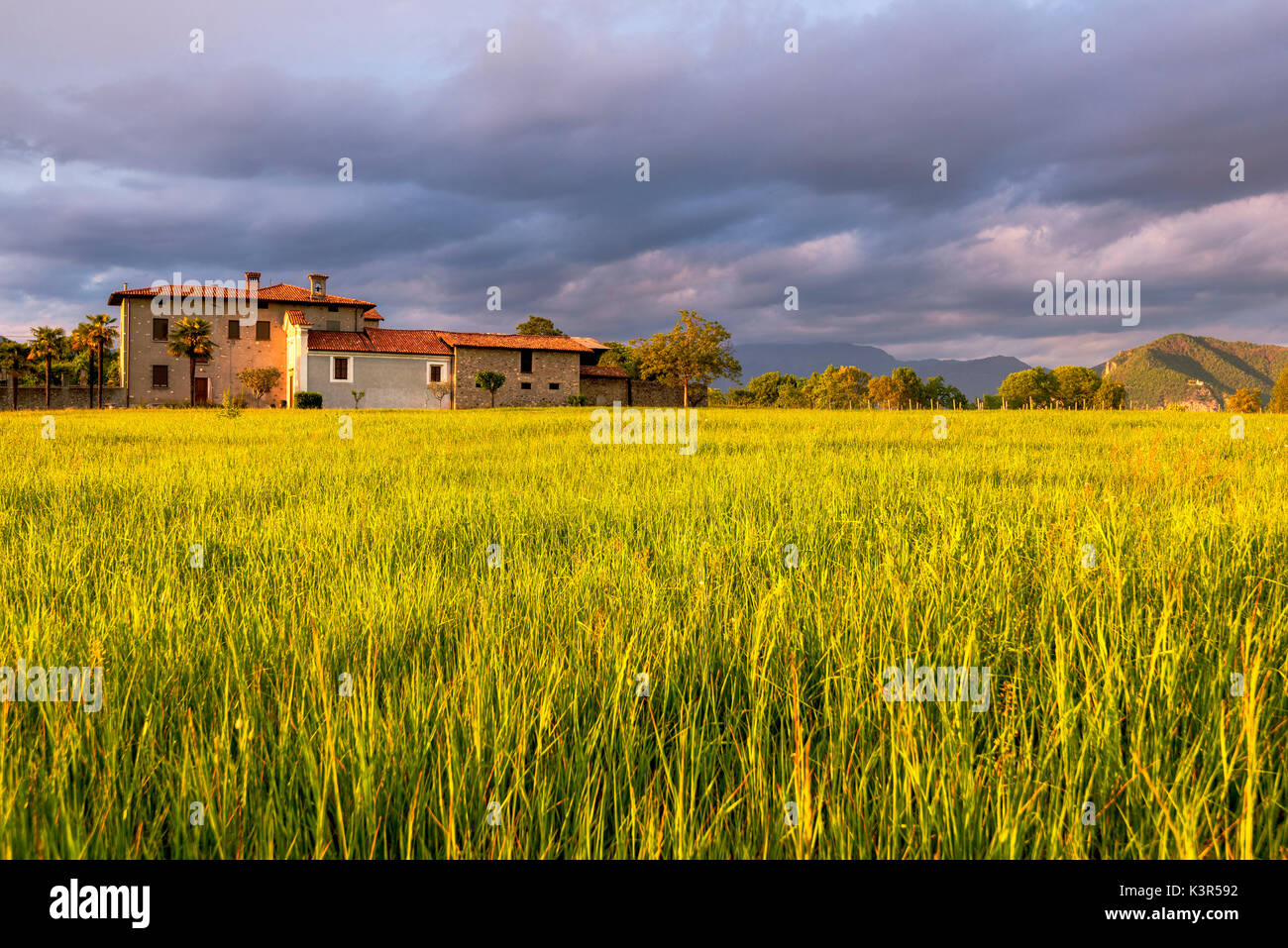 Chambre à coucher en Franciacorta, province de Brescia, Lombardie, Italie, district de l'Europe. Banque D'Images