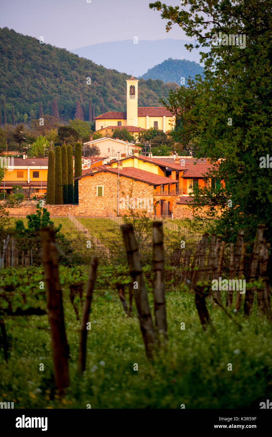 Camignone au coucher du soleil de la Franciacorta, province de Brescia, Lombardie, Italie, district de l'Europe. Banque D'Images