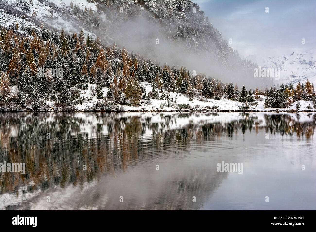 Détails de la lake, lac Aviolo. Parc de l'Adamello, province de Brescia, Lombardie, Italie Banque D'Images