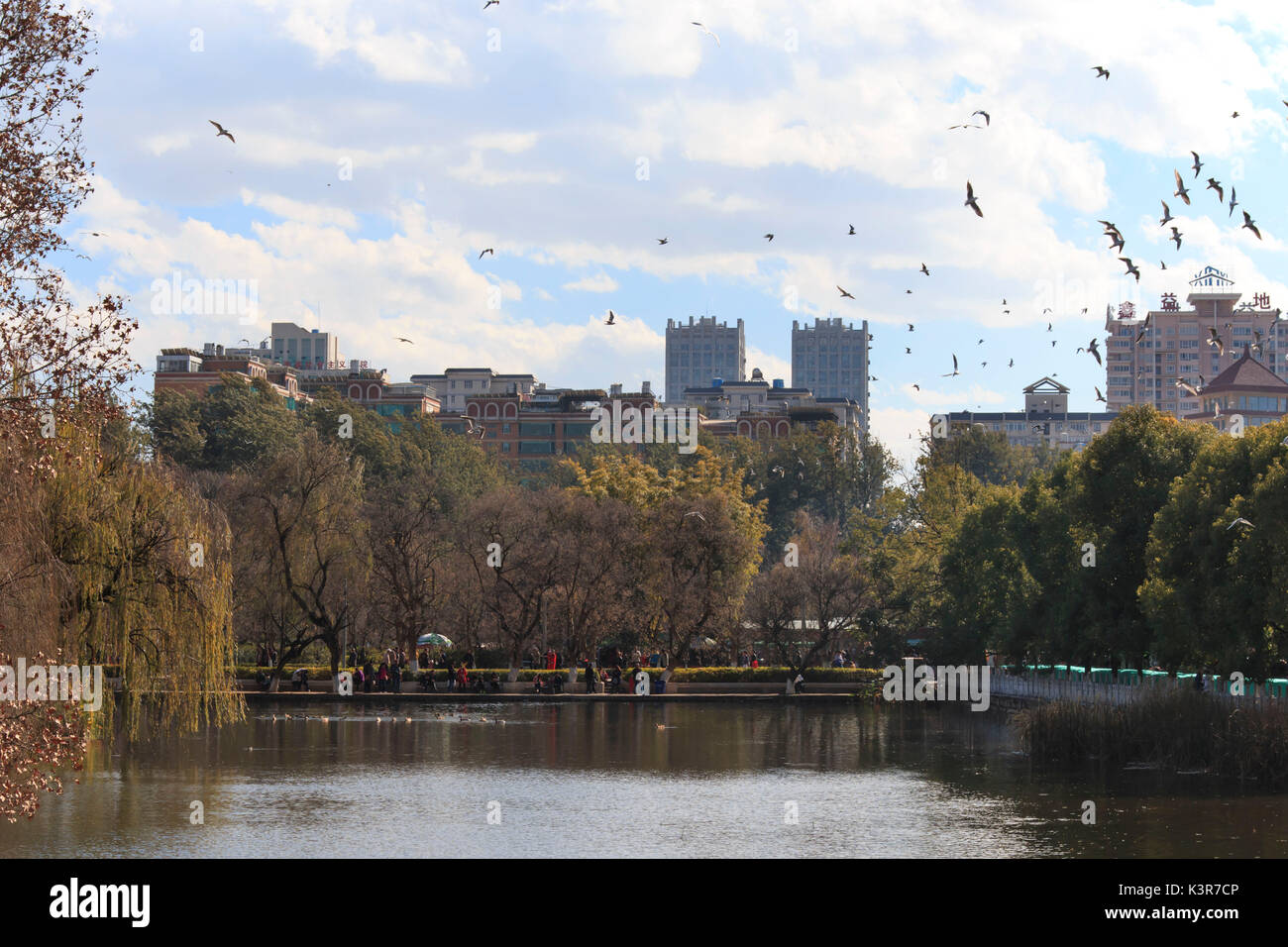 Green Lake Park à Kunming, Yunnan, l'endroit le plus populaire pour les loisirs dans la ville, Chine Banque D'Images