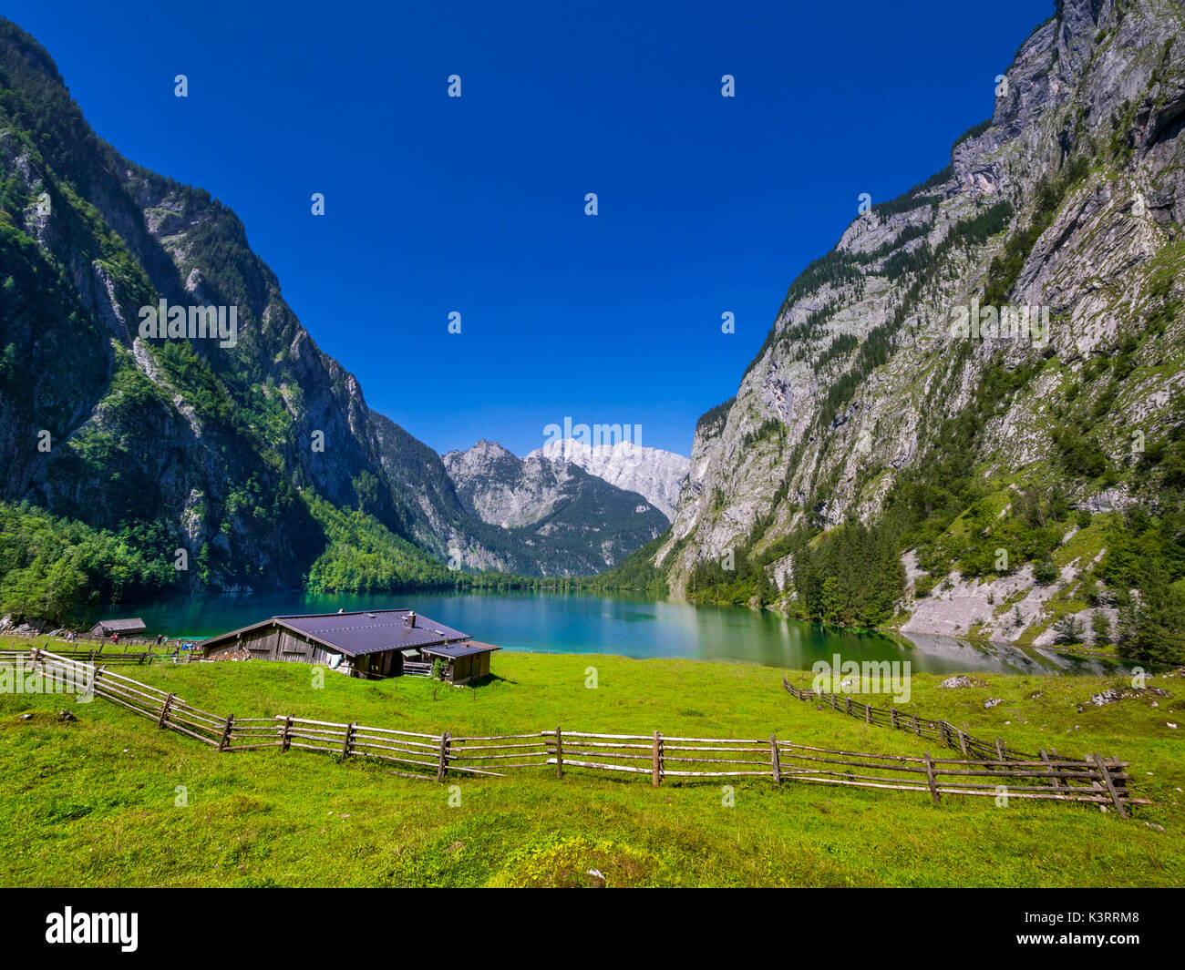 Fischunkelalm au lac Obersee dans le parc national de Berchtesgaden, salet am Koenigssee, Berlin, Germany, Europe Banque D'Images