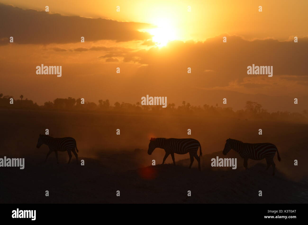 Paysages d'afrique Banque D'Images