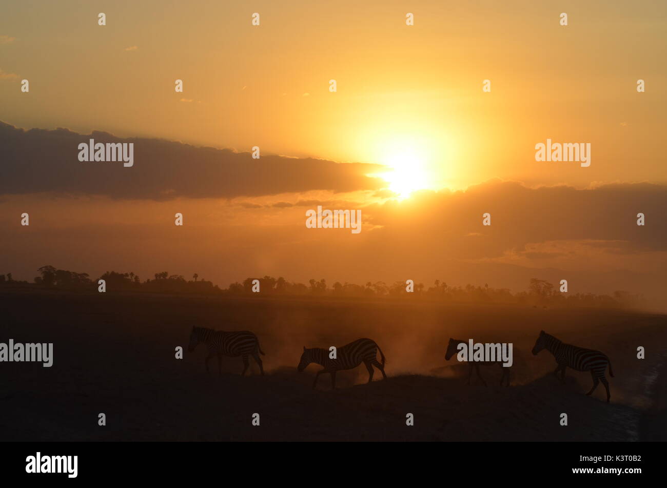 Paysages d'afrique Banque D'Images