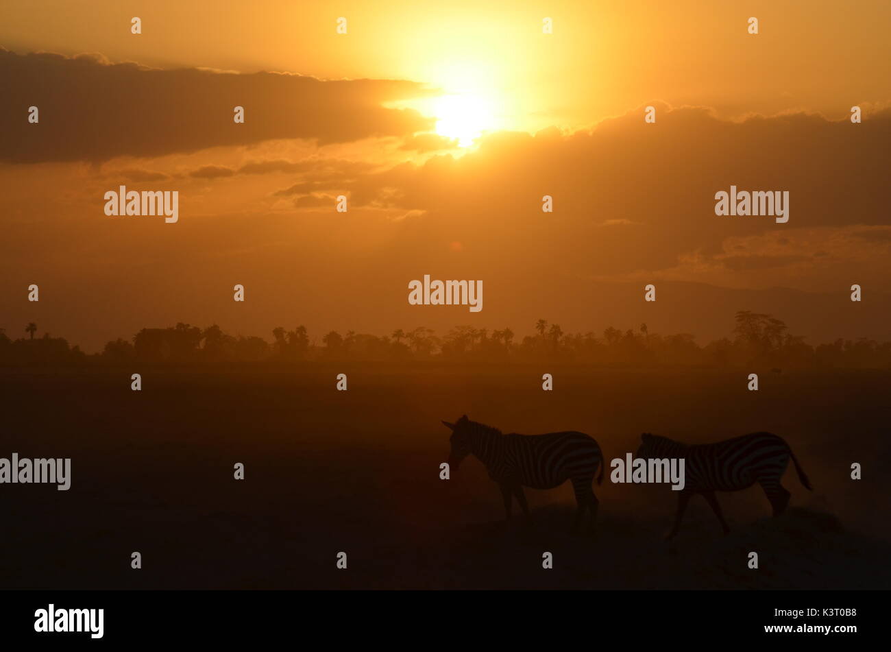 Paysages d'afrique Banque D'Images