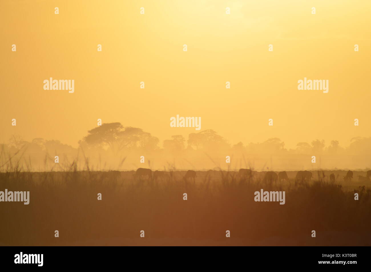 Paysages d'afrique Banque D'Images