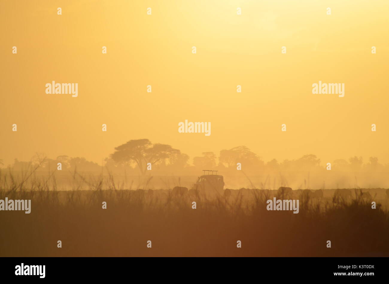 Paysages d'afrique Banque D'Images