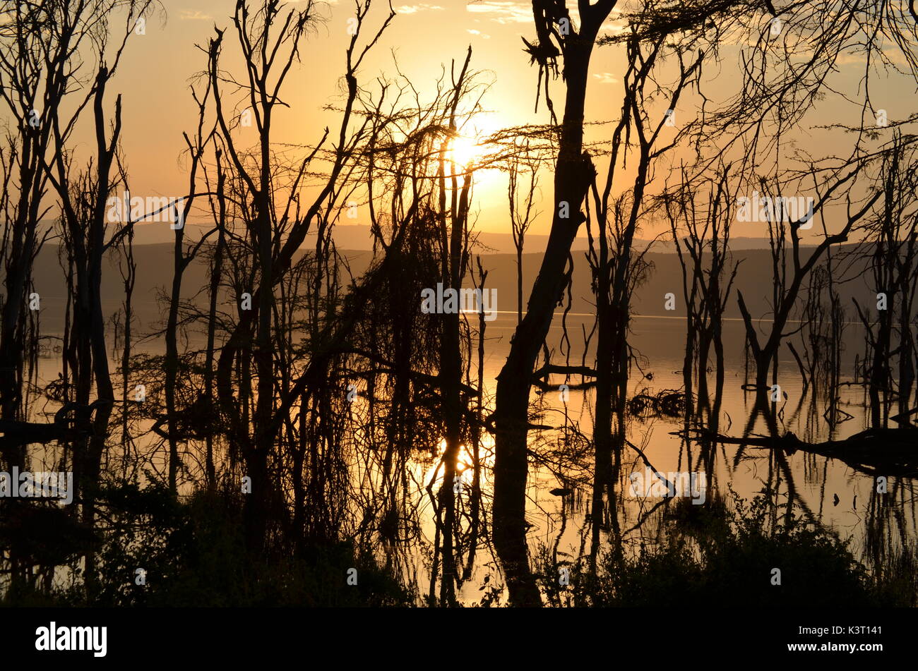 Paysages d'afrique Banque D'Images