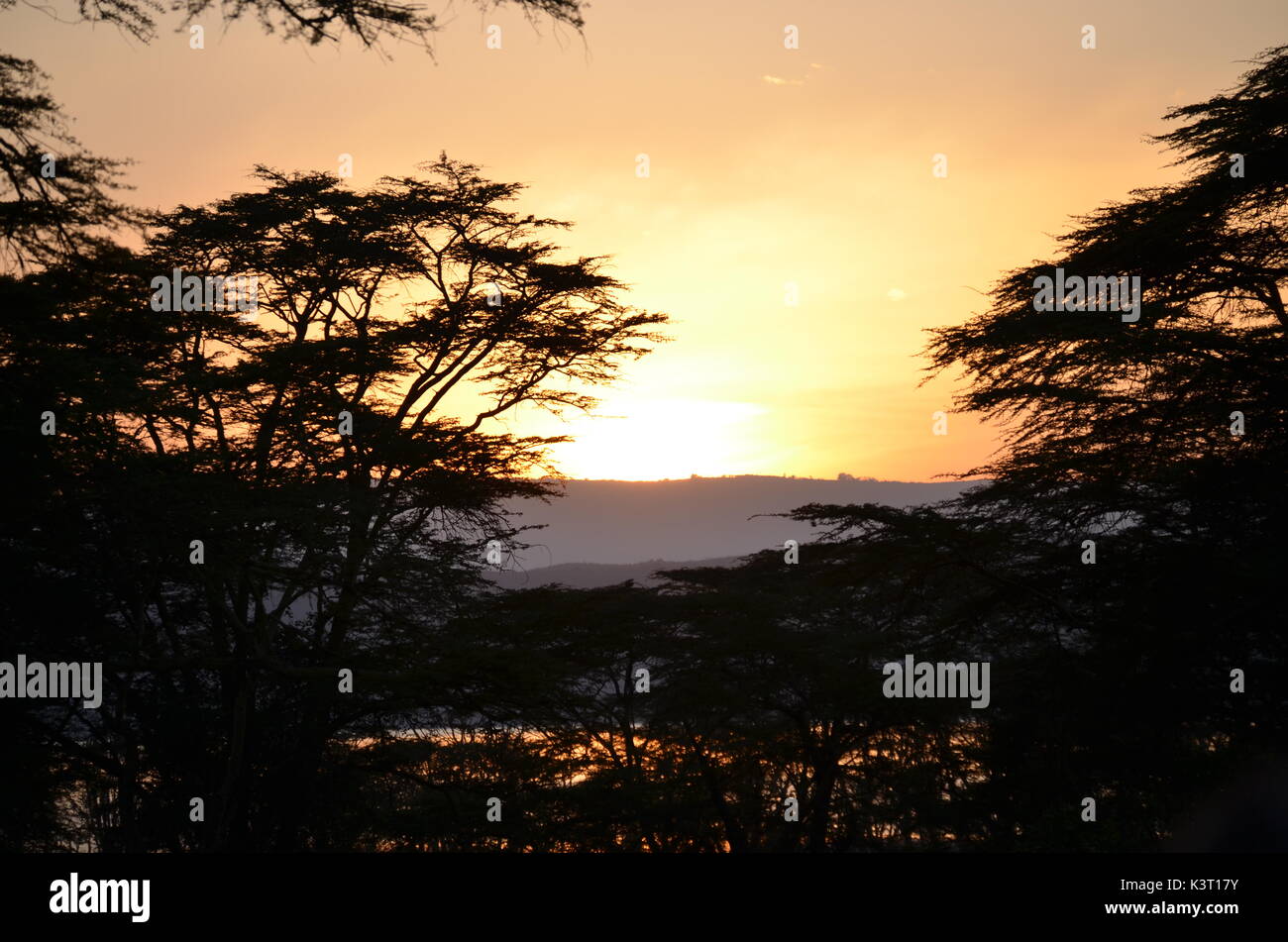 Paysages d'afrique Banque D'Images
