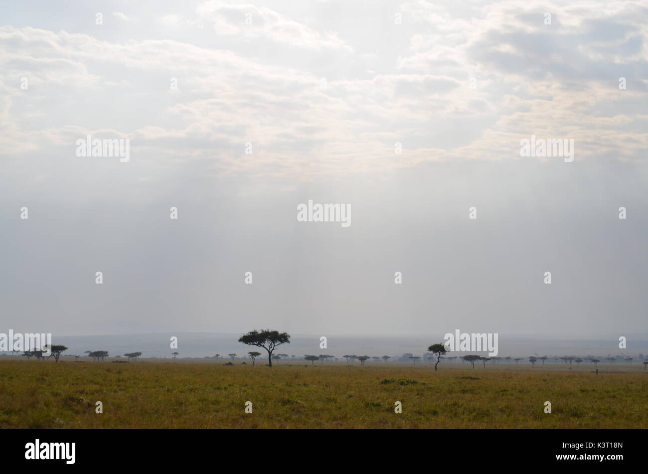 Paysages d'afrique Banque D'Images