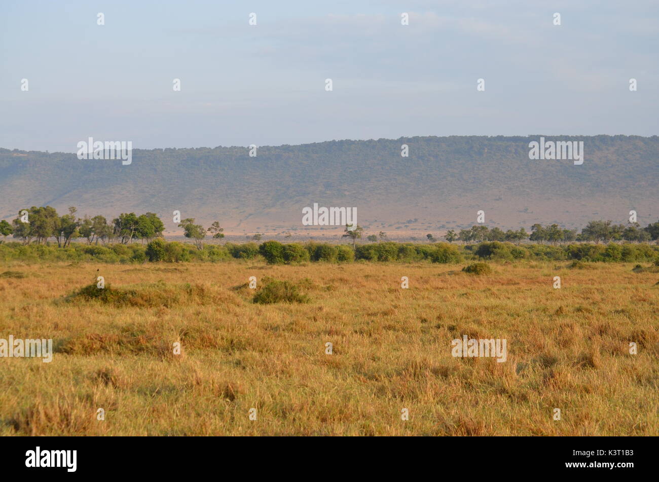 Paysages d'afrique Banque D'Images