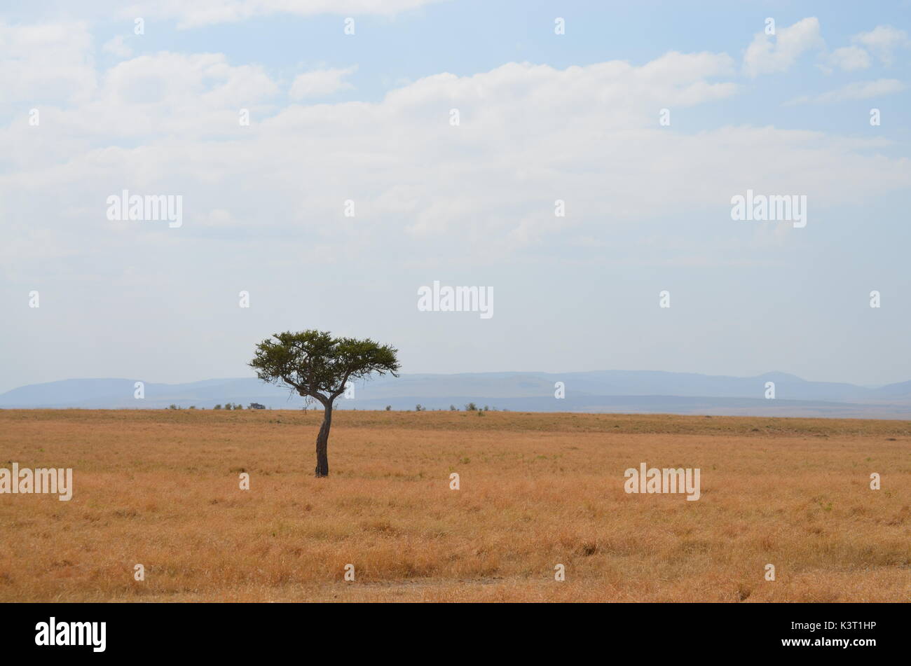 Paysages d'afrique Banque D'Images