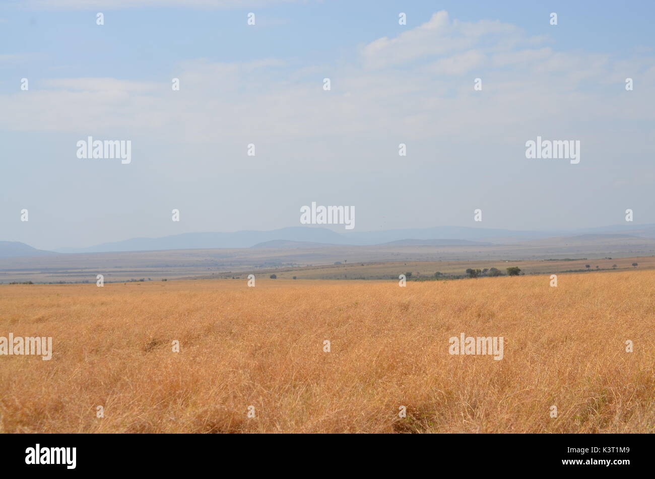Paysages d'afrique Banque D'Images