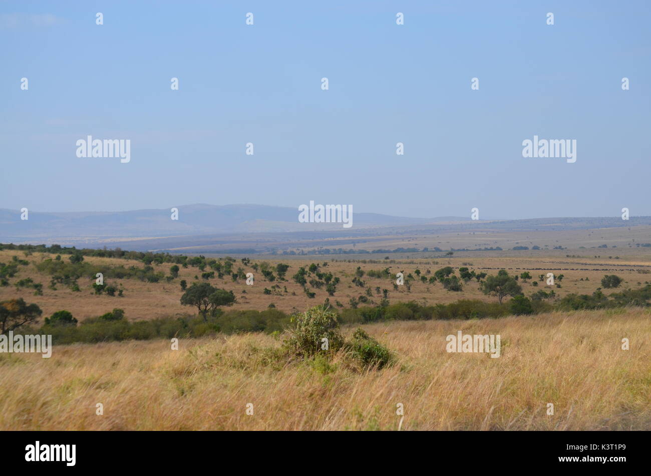 Paysages d'afrique Banque D'Images